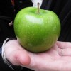 Green Apple