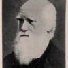 Darwin