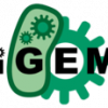 150px-IGEM_official_logo