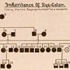 1895d-Student-Pedigree