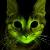 GlowKitty